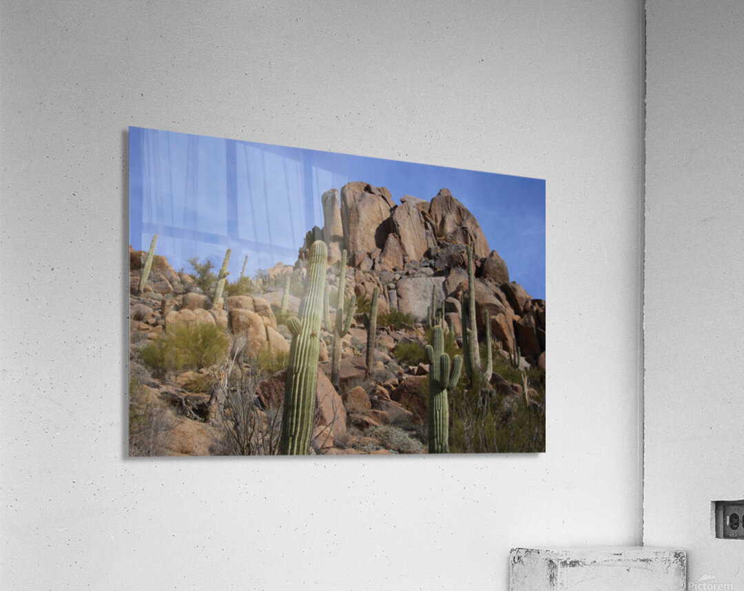 Scenic with Big Boulders Towering Giants of the Sonoran Desert Acrylic Print