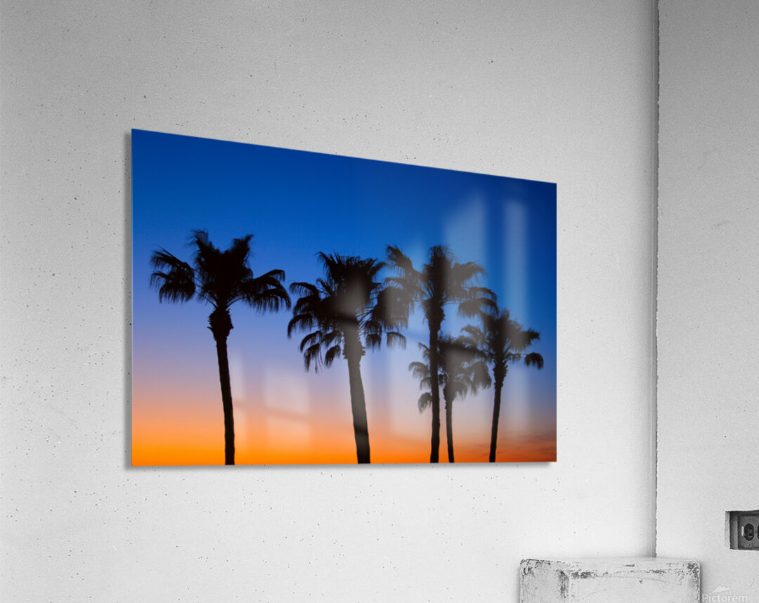 Palm Shadows Dancing in the Colors of Dusk Impression acrylique