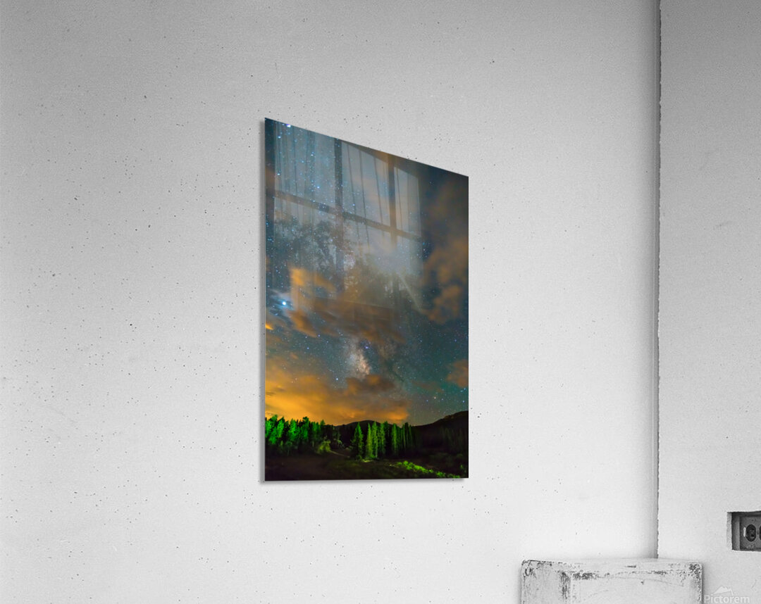 Forest In The Night Acrylic Print