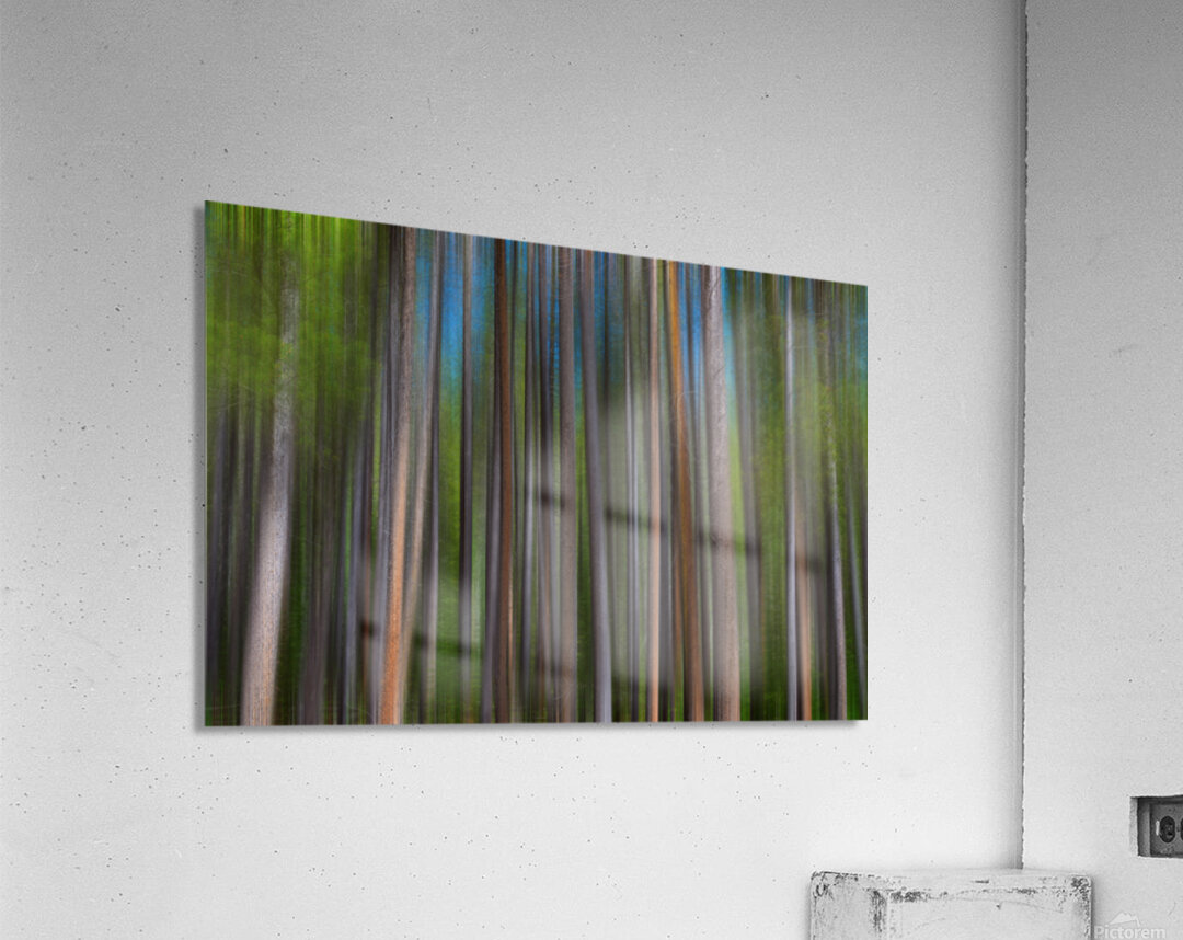 Colorful Forest Lines  Acrylic Print