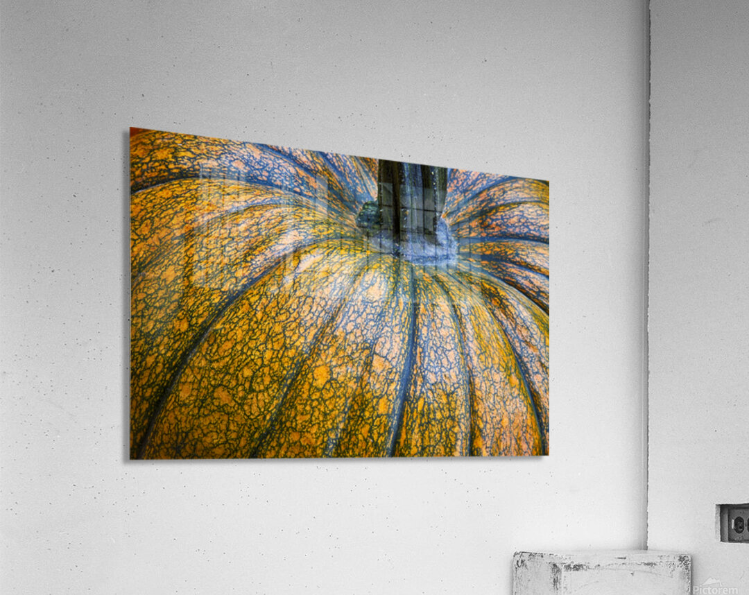 Pumpkin Close Up Fine Art Photography Wall Art Print Impression acrylique