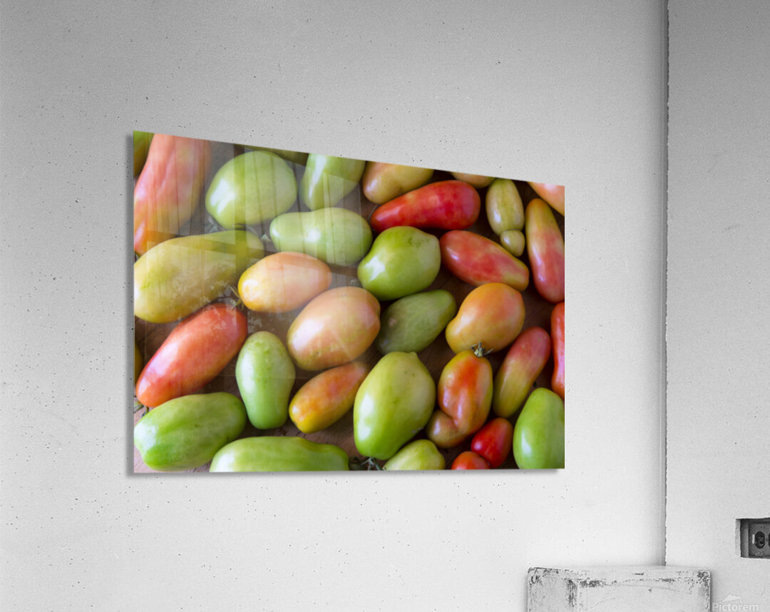 Harvests Bounty A Colorful Medley of Roma Tomatoes Acrylic Print