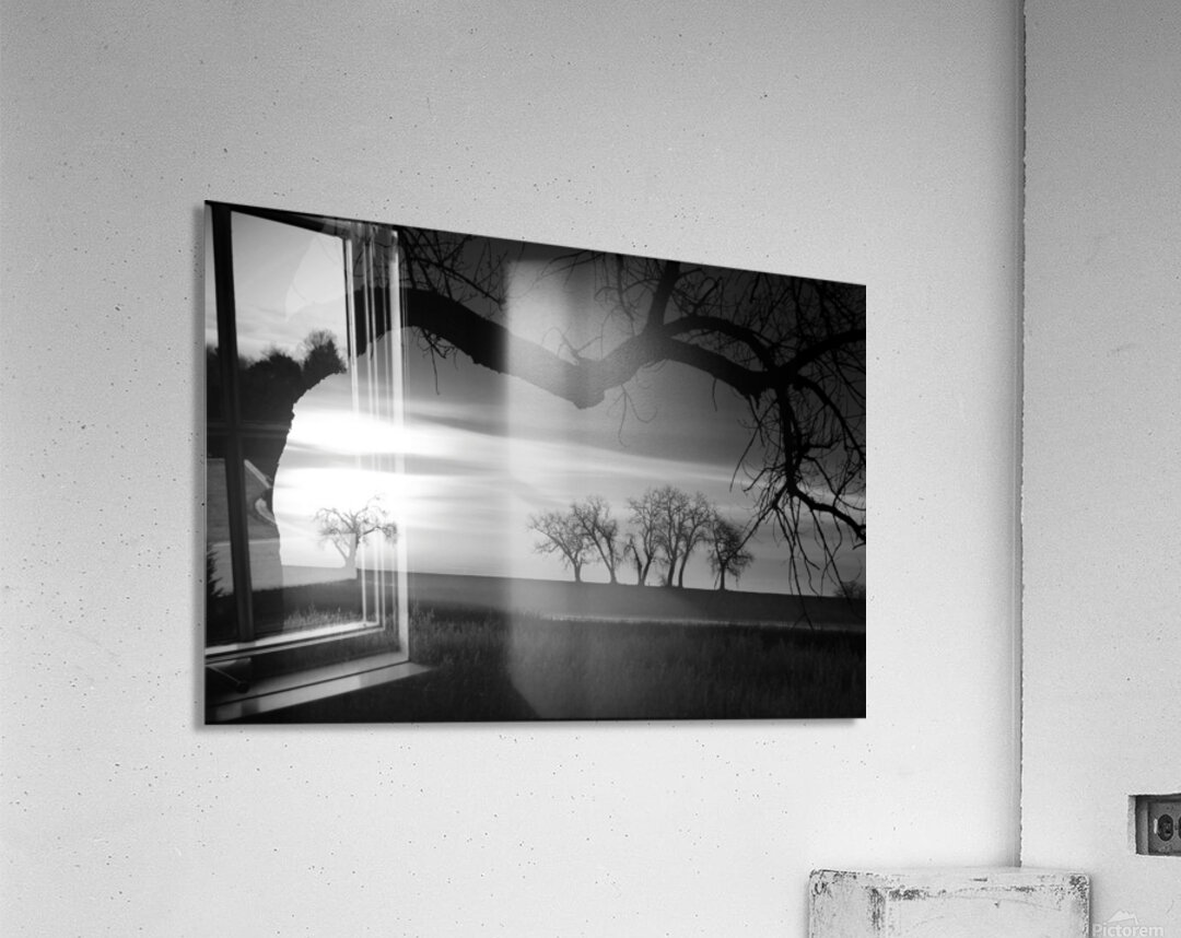 Whispers of Trees and Meadows at Sunrise in Black and White Impression acrylique