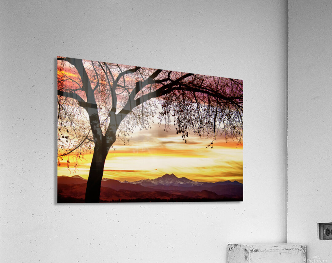 Colorado Sunset with Twin Peaks and Tree Silhouette Acrylic Print