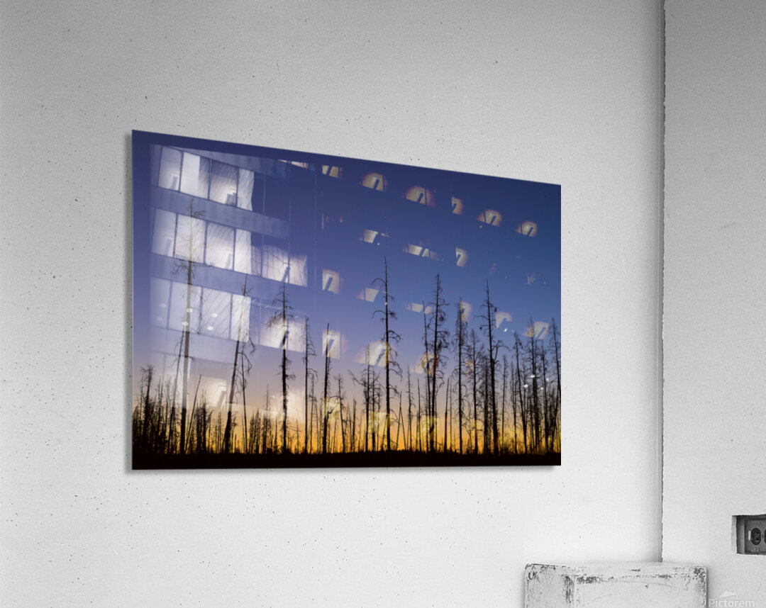 Yellowstone National Park wildfire aftermath Impression acrylique