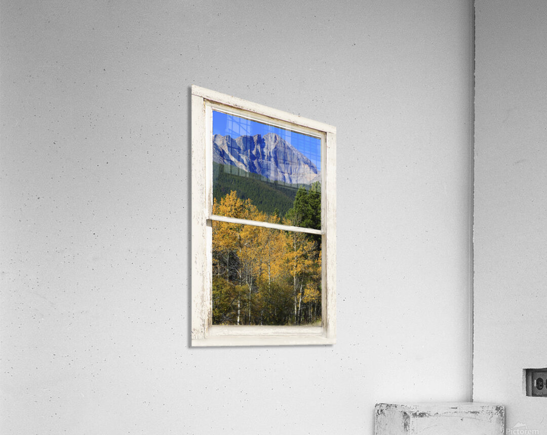 Colorado Autumn Longs Peak Window View Fine Art Print Acrylic Print