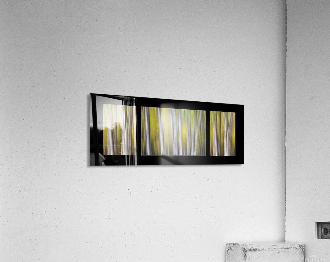 Aspen Splendor Triptych Abstract Landscape Dreaming Collage Acrylic Print