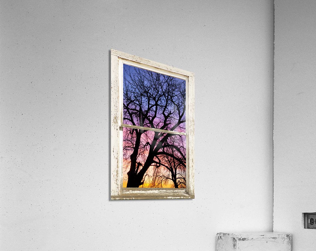 Colorful Tree White Farm House Window Portrai  Acrylic Print 