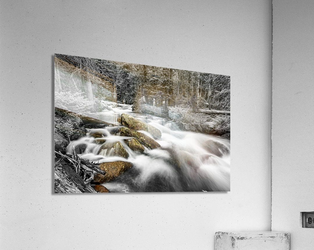 Roosevelt National Forest Stream BW Selective  Acrylic Print 