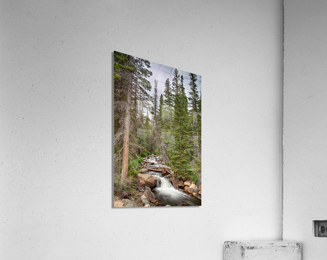 Colorado Rocky Mountain Flowing Stream  Acrylic Print 