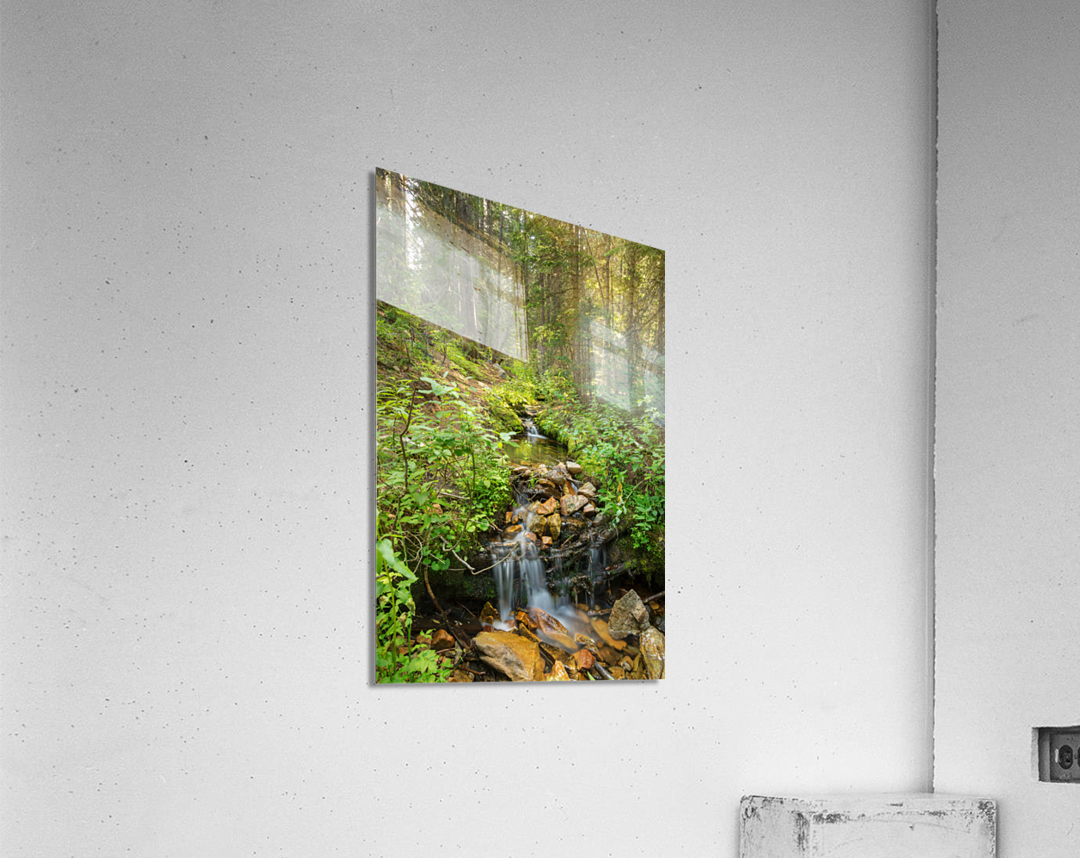 Forest Streaming  Acrylic Print 