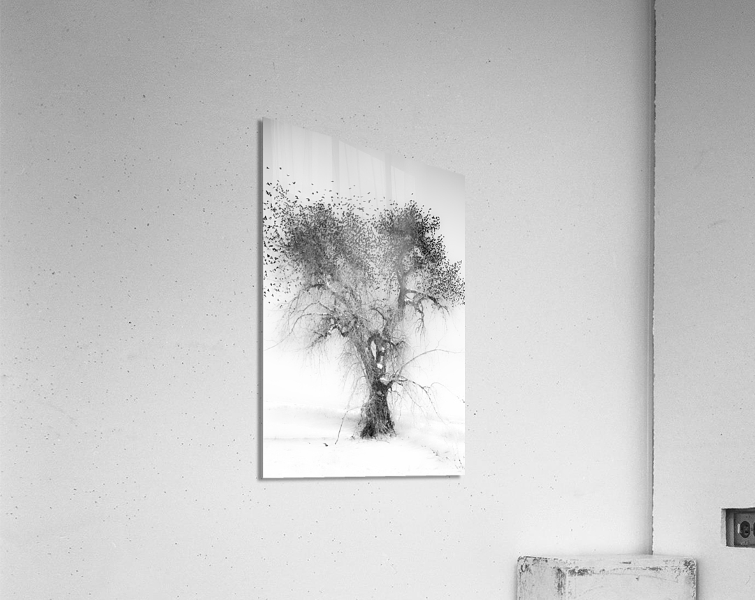 Treefull  Acrylic Print 