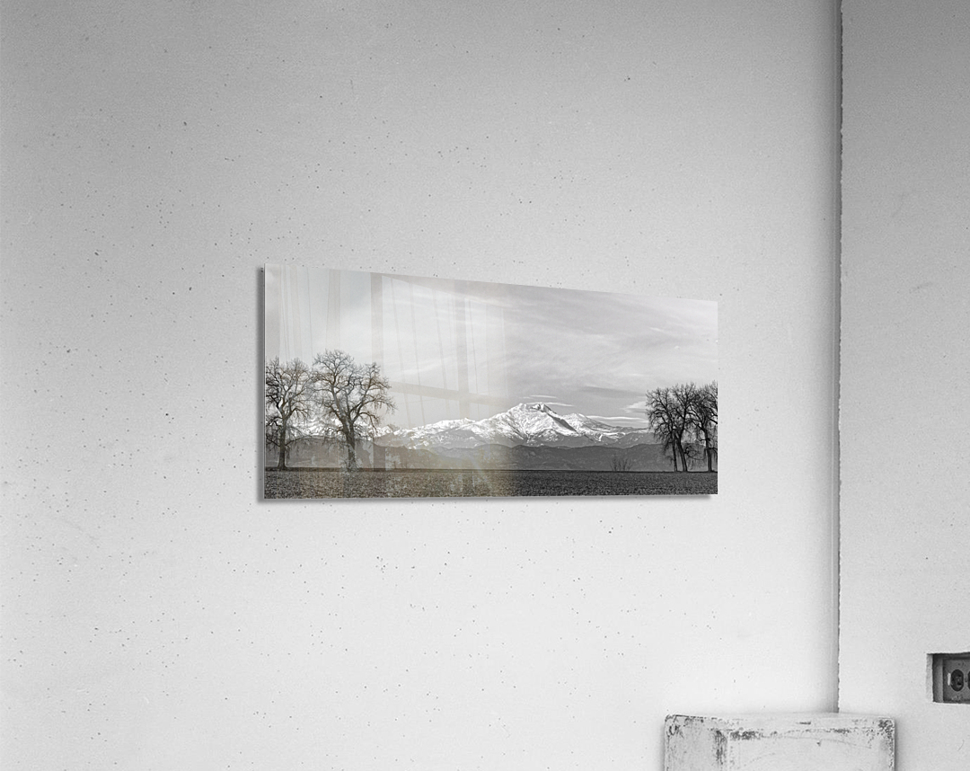 Twin Peaks Between The Trees BW Panorama  Acrylic Print 