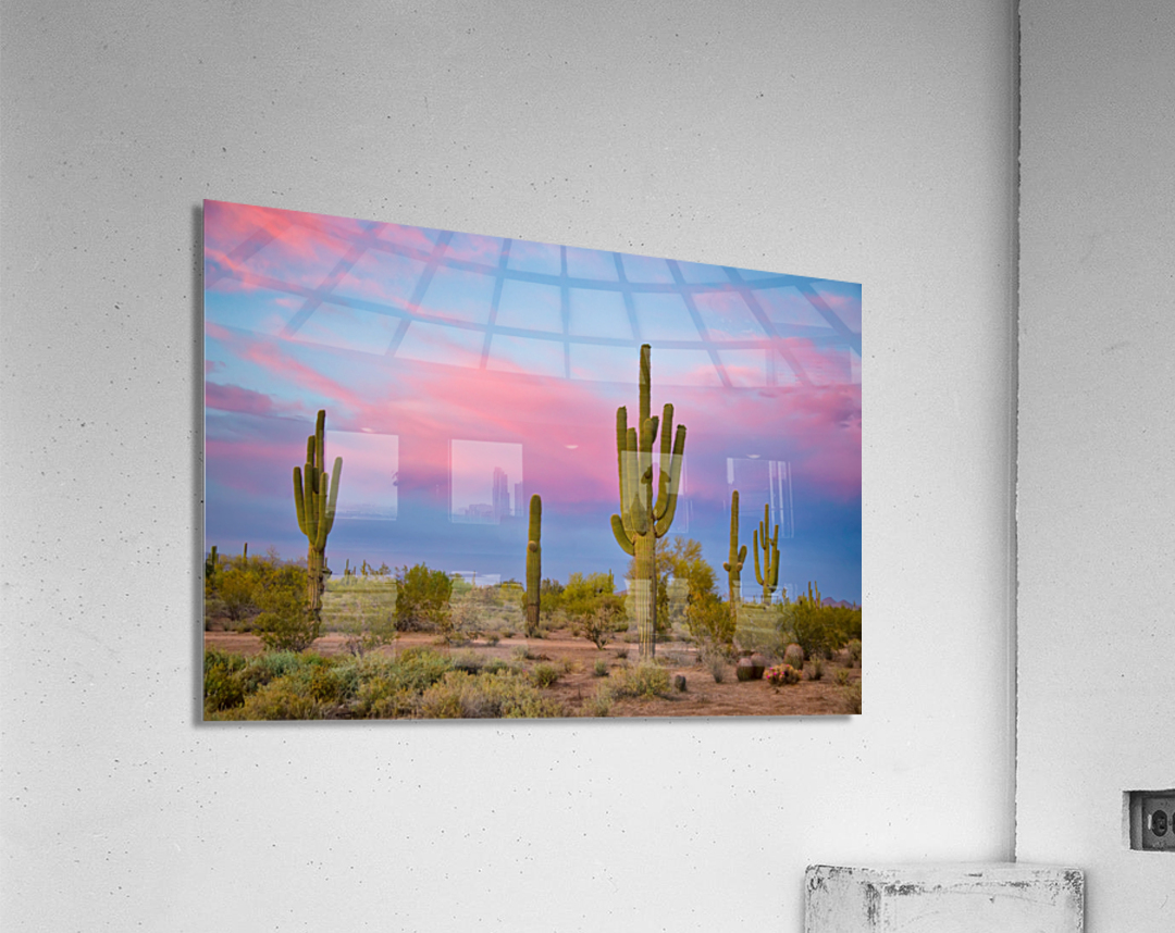 Southwest Desert Spring  Acrylic Print 