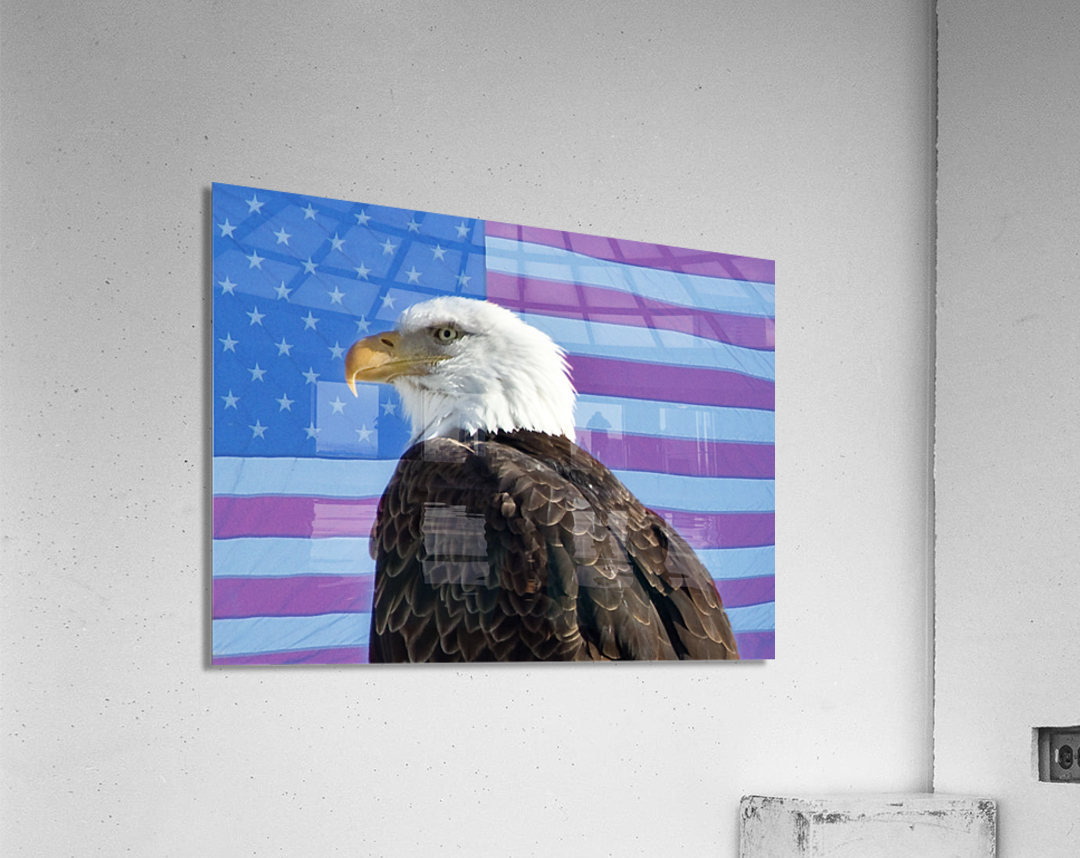 American Eagle 2  Acrylic Print 