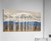 Rocky Mountain Front Range Peaks and Trees Pano  Acrylic Print