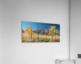 fall boulder colorado flatiron  Panorama  Acrylic Print