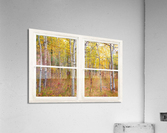 Happy Forest  Autumn Season Rustic Window View  Impression acrylique