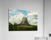 Majestic Devils Tower in Wyoming Amidst Pine Forest  Impression acrylique
