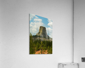 Majestic Devils Tower in Wyoming Surrounded by Pine Forest  Impression acrylique