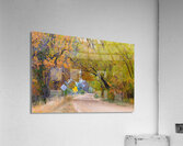 Autumns Enchantment - The Country Road Canopy  Impression acrylique
