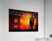 Big Sun Saguaro Sunset  Acrylic Print