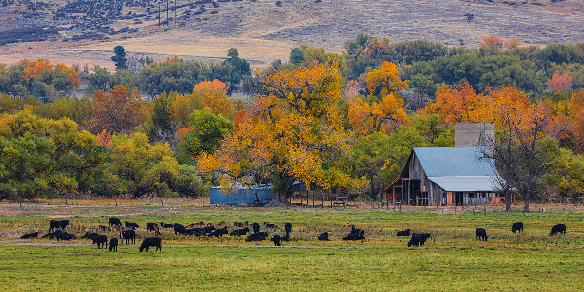 Impression de cadre personnalisé