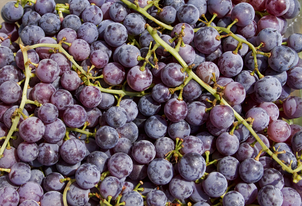 Impression de cadre personnalisé