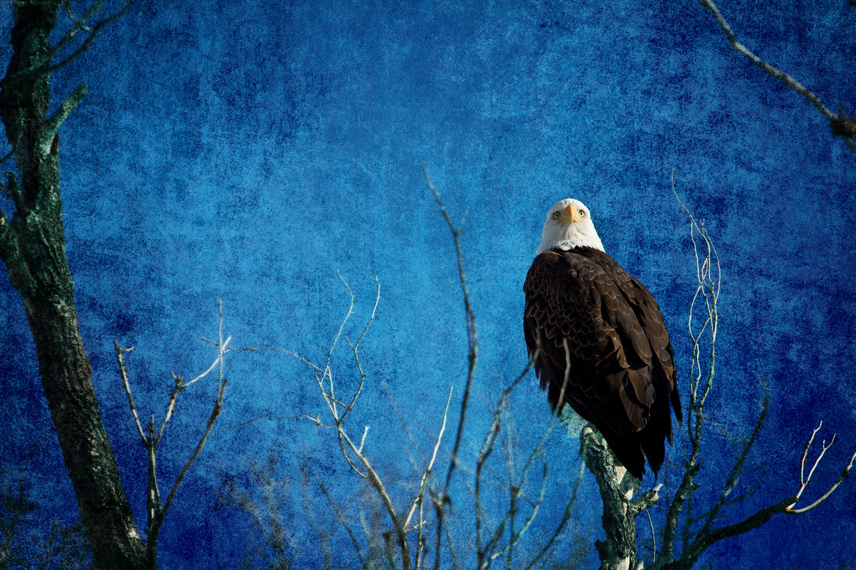 Impression de cadre personnalisé