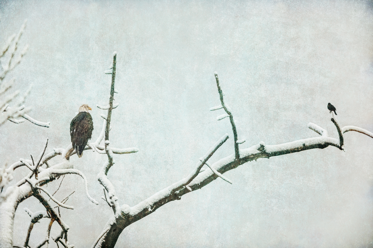 Impression de cadre personnalisé