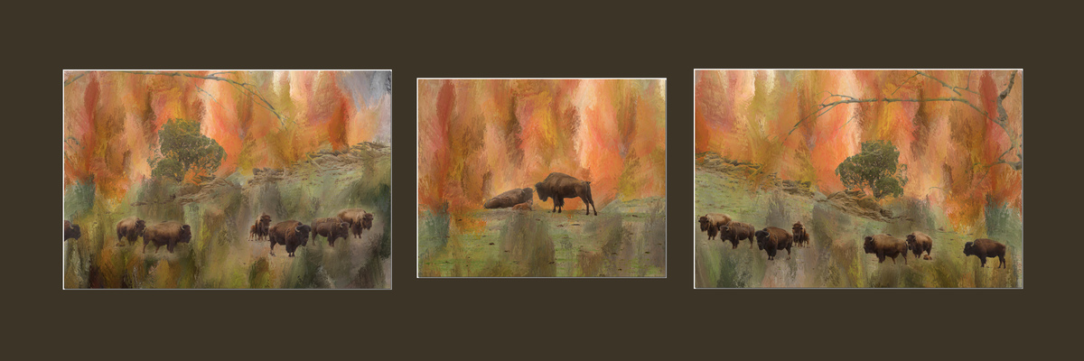 Impression de cadre personnalisé