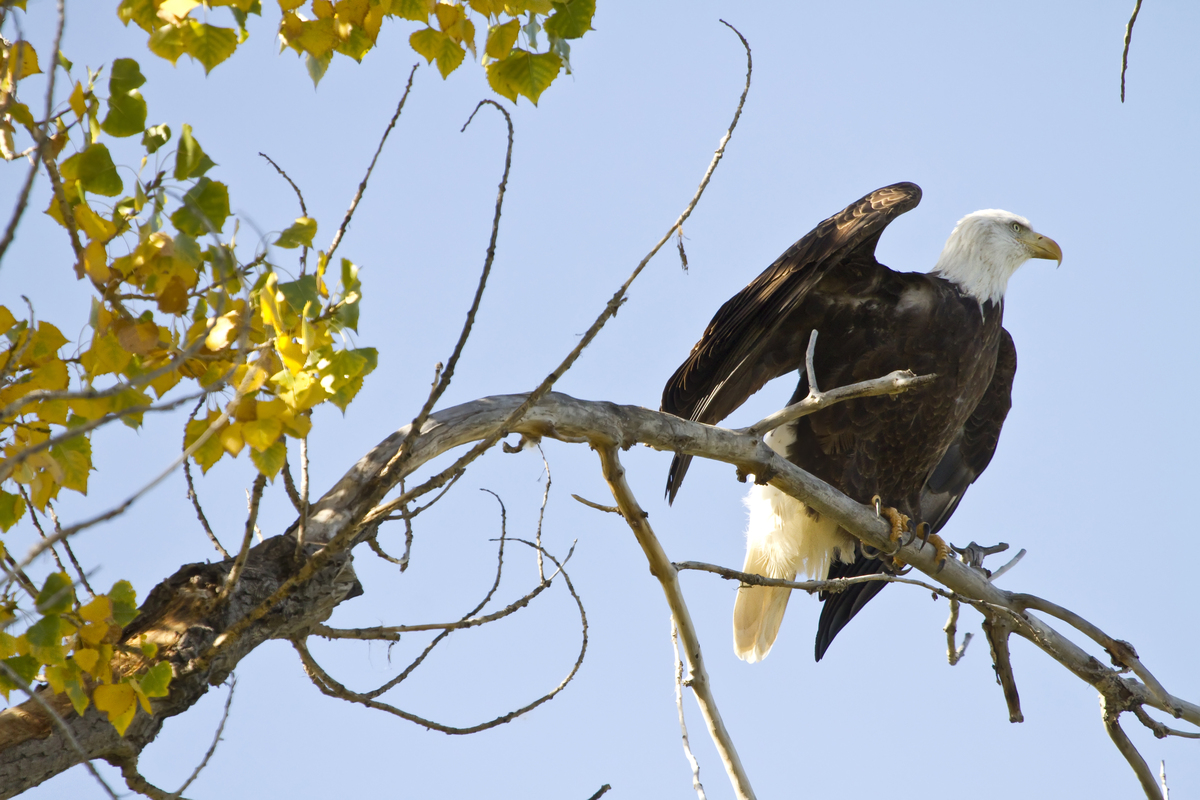 Impression de cadre personnalisé