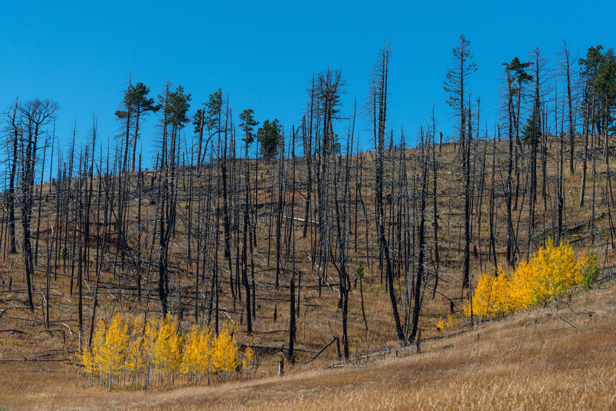 Impression de cadre personnalisé