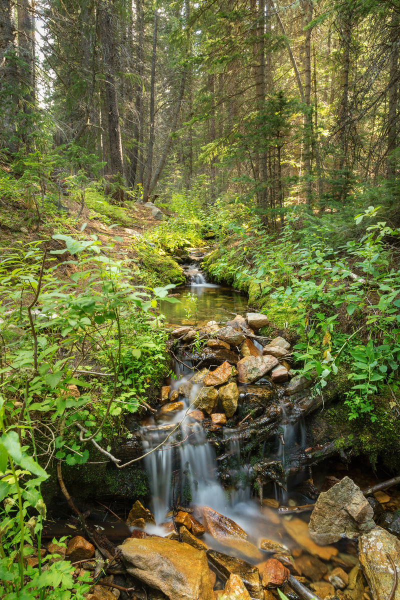 Impression de cadre personnalisé