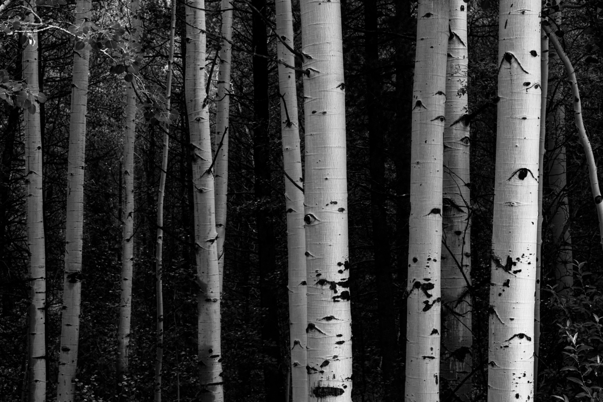 Impression de cadre personnalisé