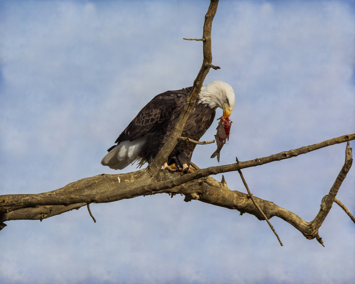 Impression de cadre personnalisé