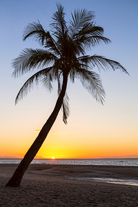 Coco Mo Tropical Sunrise