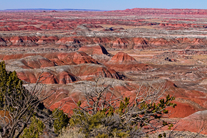 Painted Desert Horizons Arizona