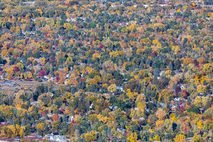 Colorful Trees Boulder Colorado