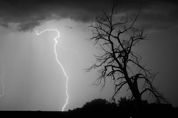 Lightning Strikes the Twisted Sentinel Tree Print