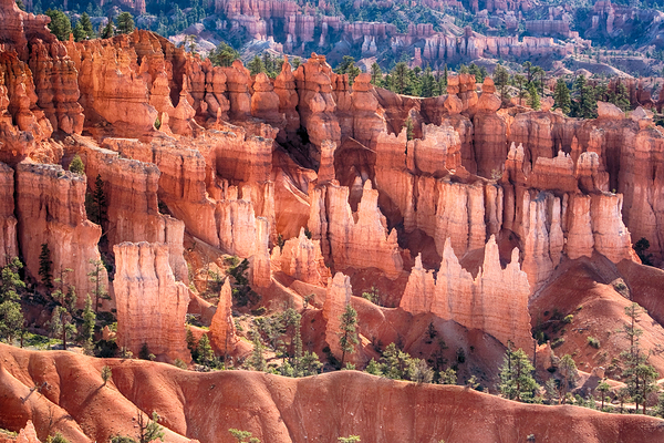 Bryce Canyon Utah Hoodoos Views Print