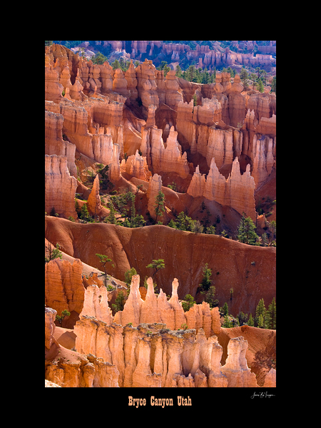 Bryce Canyon Utah Hoodoos Glowing in Desert Light Print