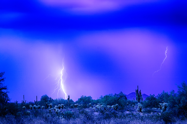 Arizona Blue Hour Desert Storm Print