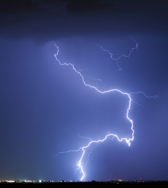 Nature Strikes Print