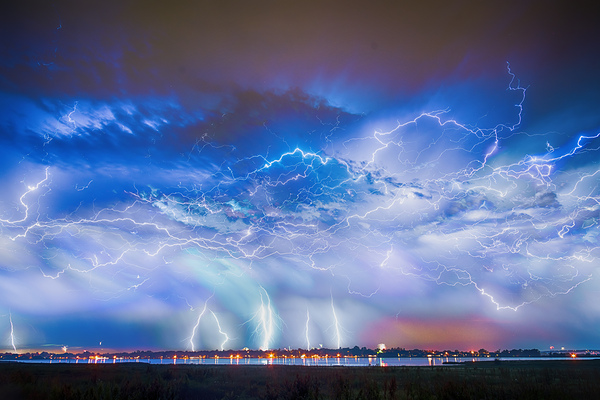 Natures Fourth Of July Print