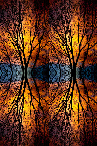 Sunset Tree Silhouette Abstract 4 1 Print