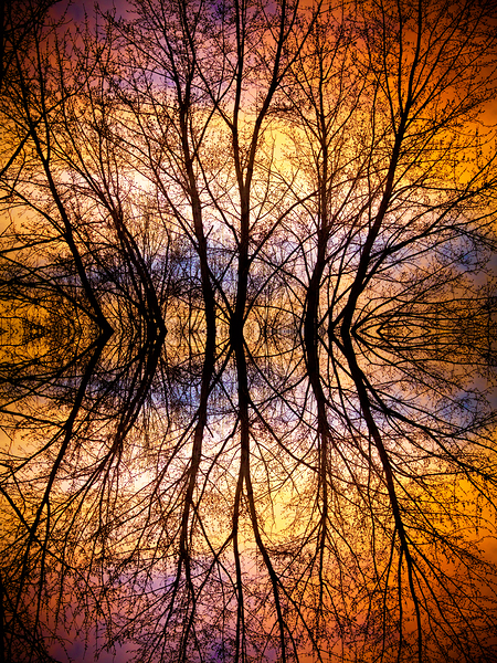 Sunset Tree Silhouette Abstract 1 Print