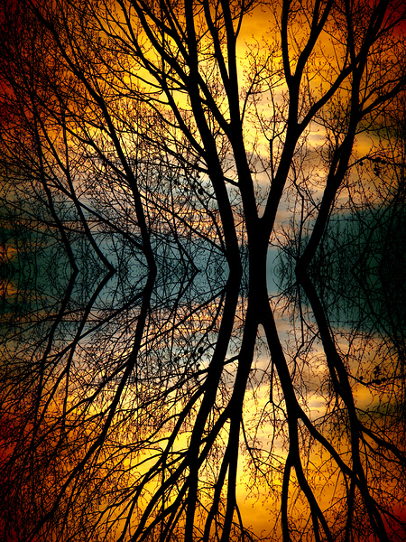 Sunset Tree Silhouette Abstract Mirror Reflection Print