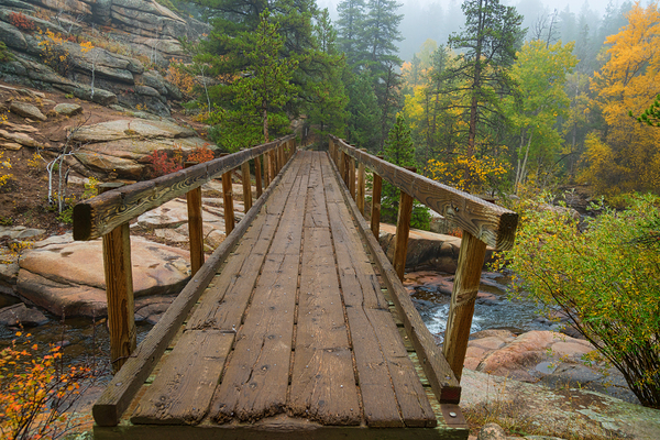 Rustic Wood Hiking Bridge Crossing Print