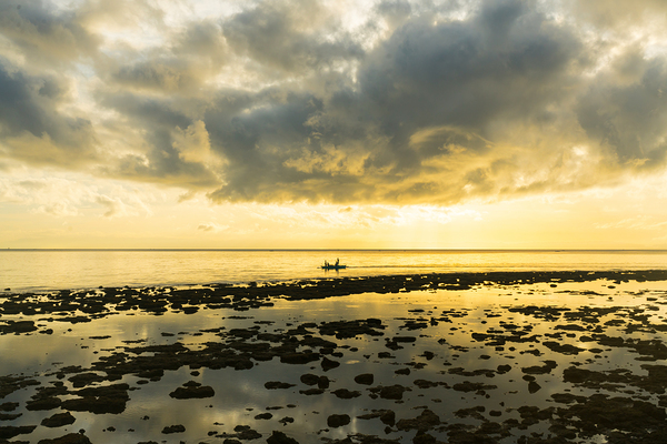 Golden Waters Carry the Morning Light Print